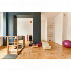 BenchK 700 series wall bars Product picture
