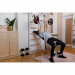 BenchK 733 wall bars set Product picture