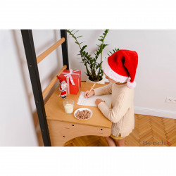 BenchK Wall Bars Set 212 with Accessories produktbild