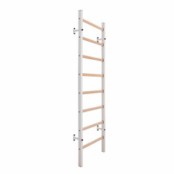 Espalier BenchK Série 200 Photos du produit