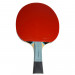Butterfly Table Tennis Racket Timo Boll SG77 Photos du produit