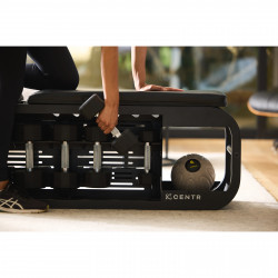 Centr Fusion Bench Product picture