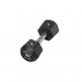 Centr x Hyrox Urethane Dumbbell 5 kg Productfoto