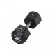 Centr x Hyrox Urethane Dumbbell 5 kg Productfoto