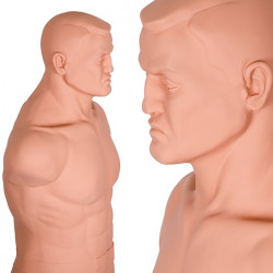 Century Träningspartner Bob XL-Complete-Set produktbild