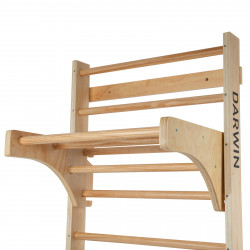 Darwin Wall Bars Product picture