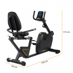 Darwin RB40 Recumbent Bike Product picture