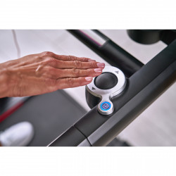 Echelon Stride 8S 22 Zoll Product picture