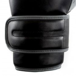Everlast Boxing Gloves Powerlock 2R
