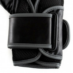 Everlast Boxing Gloves Powerlock 2R