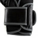 Everlast Boxing Gloves Powerlock 2R Photos du produit