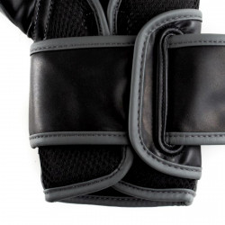 Everlast Boxing Gloves Powerlock 2R