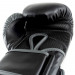 Everlast Boxing Gloves Powerlock 2R Photos du produit