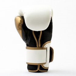 Everlast Boxing Gloves Powerlock 2R