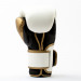 Everlast Boxing Gloves Powerlock 2R Photos du produit