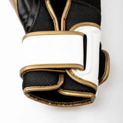 Everlast Boxing Gloves Powerlock 2R