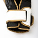 Everlast Boxing Gloves Powerlock 2R Photos du produit
