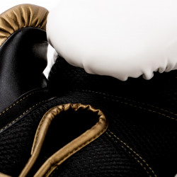 Everlast Boxing Gloves Powerlock 2R