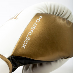 Everlast Boxing Gloves Powerlock 2R
