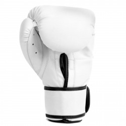 Everlast Boxing Gloves Core 2