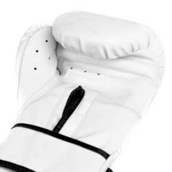Everlast Boxing Gloves Core 2