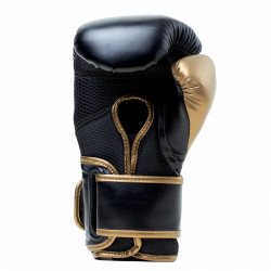 Everlast Boxing Gloves Powerlock 2R