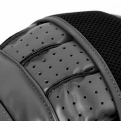 Everlast Focus Mitt Powerlock R