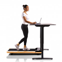 Hammer Walking Pad Walk 2.0 NorsK Product picture