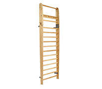 Wall Bars