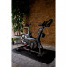Vélo de biking Matrix ICR50 Photos du produit