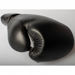 Paffen Sport training gloves Kibo Fight Product picture