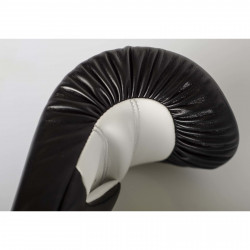 Paffen Sport Boxing Gloves Fit Product picture