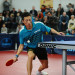 Donic-Schildkröt TT bat Top Teams 800, concave Product picture