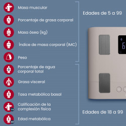 Báscula de Composición Corporal Tanita BC-333LE Foto del producto