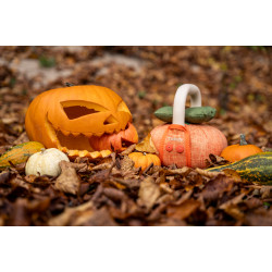 Taurus Halloween Kettlebell 6 kg Productfoto