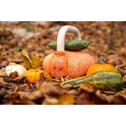 Taurus Halloween Kettlebell 6 kg Productfoto