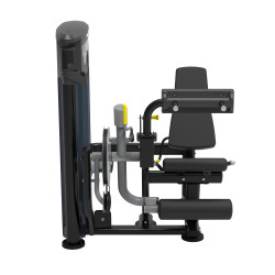 Taurus Leg Curl/Extension IT95