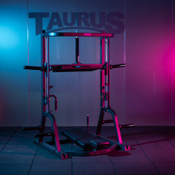 Taurus Vertikale Beinpresse IFP | Iso Vertical Leg Press Produktbild