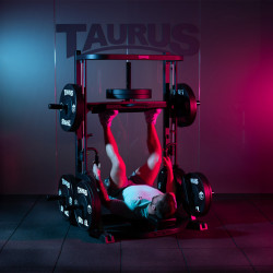 Taurus Vertikale Beinpresse IFP | Iso Vertical Leg Press Produktbild