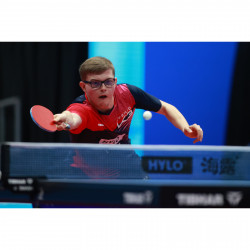 Tibhar Tischtennisschläger Master Alexis LEBRUN Product picture