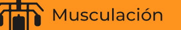 Musculación