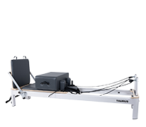 Reformer