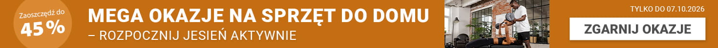 promo-banner