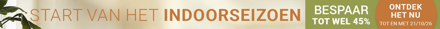 promo-banner